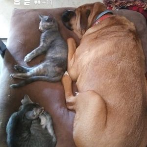 Meet your Posher, Jeffrey